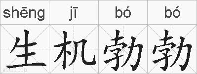 生机勃勃的拼音