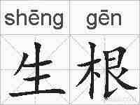 生根的拼音