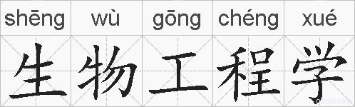 生物工程学的拼音