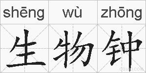 生物钟的拼音
