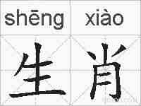 生肖的拼音