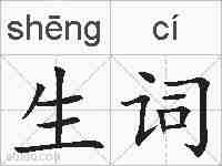 生词的拼音