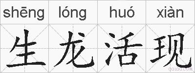 生龙活现的拼音