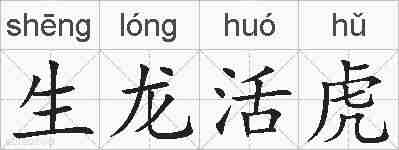 生龙活虎的拼音