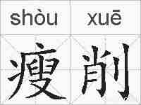 瘦削的拼音