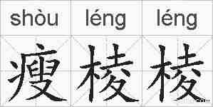 瘦棱棱的拼音