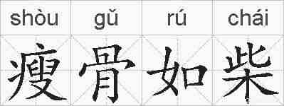 瘦骨如柴的拼音