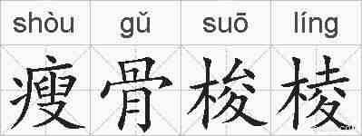瘦骨梭棱的拼音