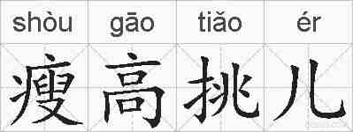 瘦高挑儿的拼音