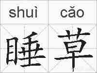 睡草的拼音