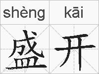 盛开的拼音