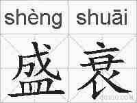 盛衰的拼音