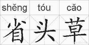 省头草的拼音
