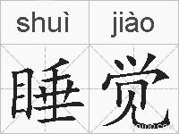 睡觉的拼音