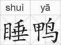 睡鸭的拼音