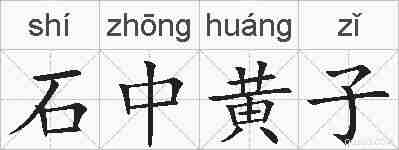 石中黄子的拼音
