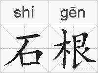 石根的拼音