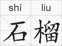 石榴的拼音