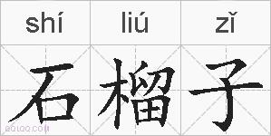 石榴子的拼音