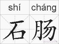 石肠的拼音