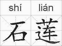 石莲的拼音