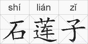 石莲子的拼音