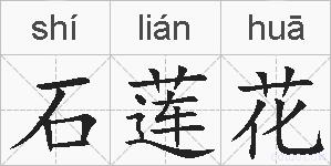 石莲花的拼音