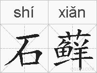 石藓的拼音