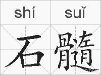 石髓的拼音