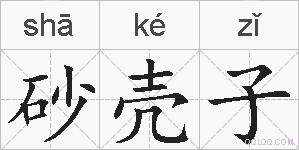 砂壳子的拼音
