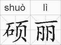硕丽的拼音