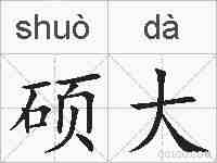 硕大的拼音