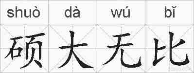 硕大无比的拼音