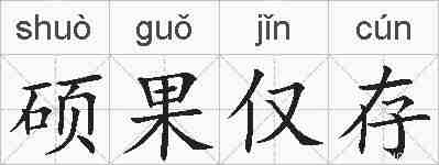 硕果仅存的拼音