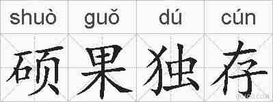 硕果独存的拼音