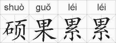 硕果累累的拼音