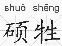 硕牲的拼音