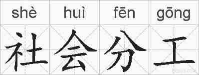 社会分工的拼音