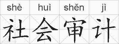 社会审计的拼音