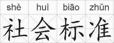 社会标准的拼音