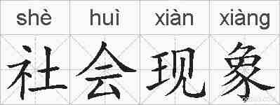 社会现象的拼音