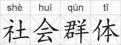 社会群体的拼音