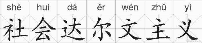 社会达尔文主义的拼音