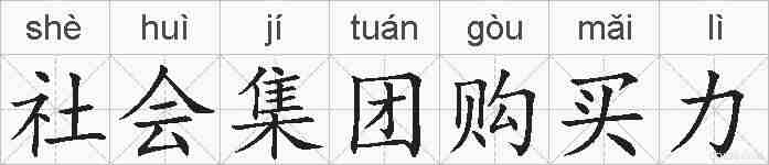 社会集团购买力的拼音