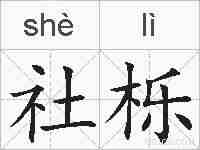 社栎的拼音