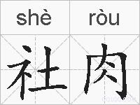 社肉的拼音
