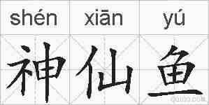 神仙鱼的拼音