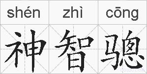 神智骢的拼音