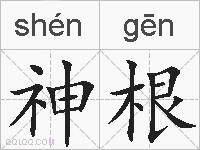 神根的拼音