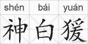 神白猨的拼音